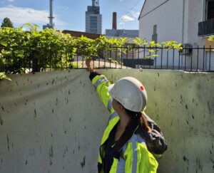 Corporate Resilience Management – 3-core 19 Eine Frau mit Helm und Sicherheitsweste zeigt bei sonnigem, klarem Wetter auf einen Sicherheitszaun als sichtbare Sicherheitsmaßnahmen auf einem Gelände.